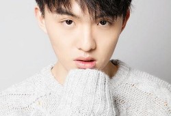郑伟爆料视频播放大全下载,揭秘事件背后真相