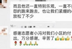 深圳潘先生最新爆料,揭秘事件背后惊人真相